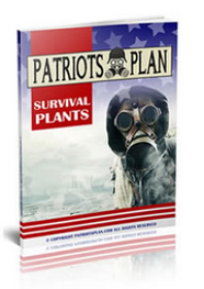 Patriots Plan